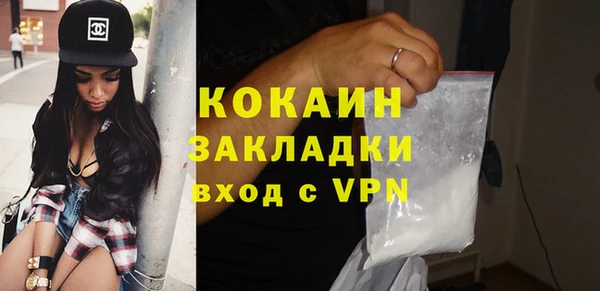 PSILOCYBIN Белокуриха