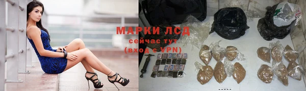 PSILOCYBIN Белокуриха