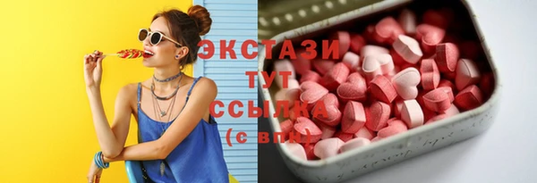 PSILOCYBIN Белокуриха