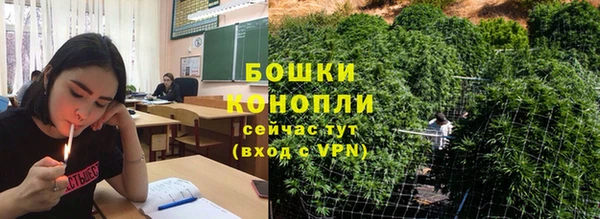 PSILOCYBIN Белокуриха