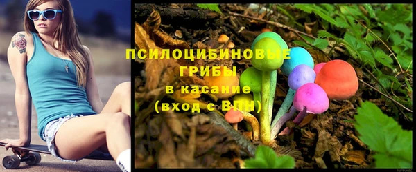PSILOCYBIN Белокуриха
